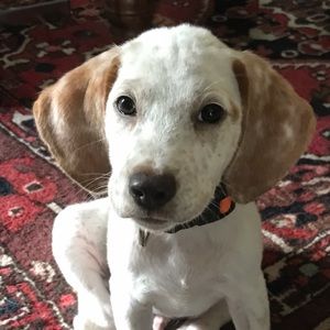 Meet your Posher, Lara